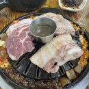 해성버섯