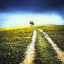 작은바람언덕 이미지