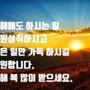 몸편한한의원 네이버블로그