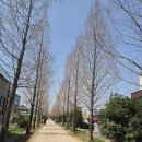 진영역사공원(놀이터앞) | [김해시 진영 산책] 진영역사공원, 꿀벌여행카페