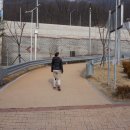 대구달서구 청소년수련관 공영주차장 티스토리