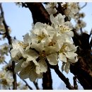 숭덕사(덕성서원) 이미지