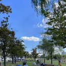 플라잉독 | 송도요가원 소그룹 딥티르 새벽수련 빈야사 후기(with.야외요가)