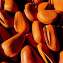 동구초등학교 이미지