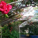 동구청 앞 이미지