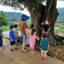 마령초등학교 이미지