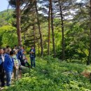 산림조합중앙회 임업인종합연수원 이미지