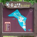 괴안체육공원 이미지