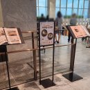 선속초코다리냉면 | 대전 갤러리아백화점 11층 고메이월드 솔직 방문기