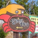 신안오토 이미지