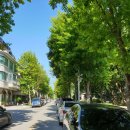 성저공원(대화도서관 옆) 이미지