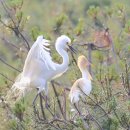 백학저수지 이미지