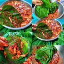 김치스쿨 이미지