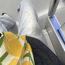 조은카센타 | 이번주도 대충 열심히 누워서 부지런하게 살았다