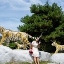 송정동 446-4 이미지