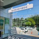춘천시립청소년도서관 | 📚 춘천시립청소년도서관 다녀왔어요