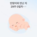 세븐노은 | 3월 기록 : 제목 그 뭐더라..그 이사 준비 머시기