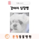 온정동물병원 이미지