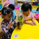 숲속향기생태어린이집 이미지