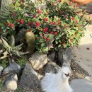 평강목장 | [포천] 마이애니멀스토리 평강랜드 체험형 테마파크 다녀왔습니다