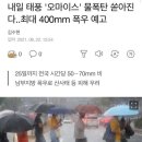 지유투어 - 제주시 연북로 45 | 지유투어