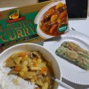 에스앤비 | 일본 고체카레 에스앤비 골든 약간 매운맛 내돈내산 후기