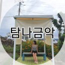 탐나금악 협동조합 | 금악오름 카페 탐나금악 내돈내산