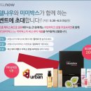 미미부띠크