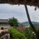 문겸농장 이미지