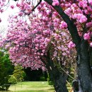 유엔기념공원주차장 이미지