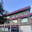 더블링독 이미지