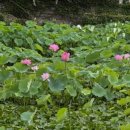 공동정호 이미지