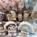 케이크앤펫(cake&pet) | 빌리지 퀸 1702호 투숙기 (2) - 조식, 씨플라, 하브스, 이치란라멘, 펫파라다이스, 사카에스시, 돈키호테