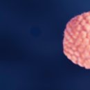 은평본정형외과의원 이미지