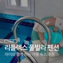 고대안풀빌라펜션 | [가평여행] 서울 근교 가평 펜션: 리플렉스 풀빌라 펜션 숙박 후기