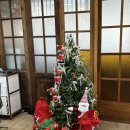 압구정-127 | 압구정로데오 미용실 하이레이어드컷 매트브라운 염색 제오헤어