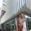 신사이사랑치과의원 | 신사역 치아미백 레브치과 솔직후기