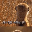 그래상사