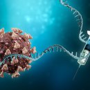 코로나 mRNA 주사와 DNA 관계 이미지
