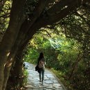 아름드리민박 이미지