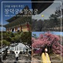 해태기프트 | 서울 창덕궁 매화 시기 후원 예약 현장 입장 입장료 창경궁