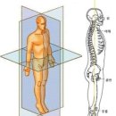 마린시티1로127 | [마린시티필라테스/루종드] 자세만 바꿔도 몸매가 달라지는 이유?