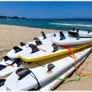 남애서핑클럽 이미지