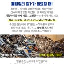 대성가마솥설렁탕 이미지