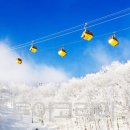 알펜시아 스키 & 스노우보드 이미지