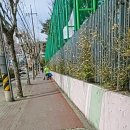 장자대로 이미지