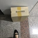 2019-주077 | 20대 커플 기념일 선물_갓성비 커플 운동화 추천 : 휠라 자가토♥