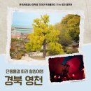 자동적설관측시스템 | 산림치유체험관, 보현산댐짚와이어, 보현산천문대, 자천교회, 임고서원, 보현산 자연휴양림 (후기포함)