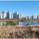 첨단부동산중개 이미지