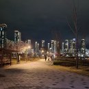 연기면_세종중앙공원(남쪽)주차장 | 세종 야경 세종호수공원 중앙공원 대전 근교 드라이브 나들이 데이트장소 추천 + 세종시 애견동반